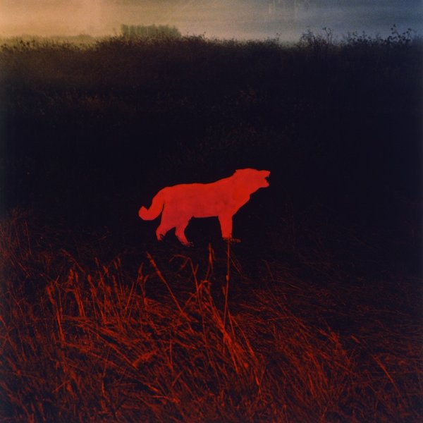 Thumbnail of p-cobl2nnliqf-6278ebfbfa4940d7 0