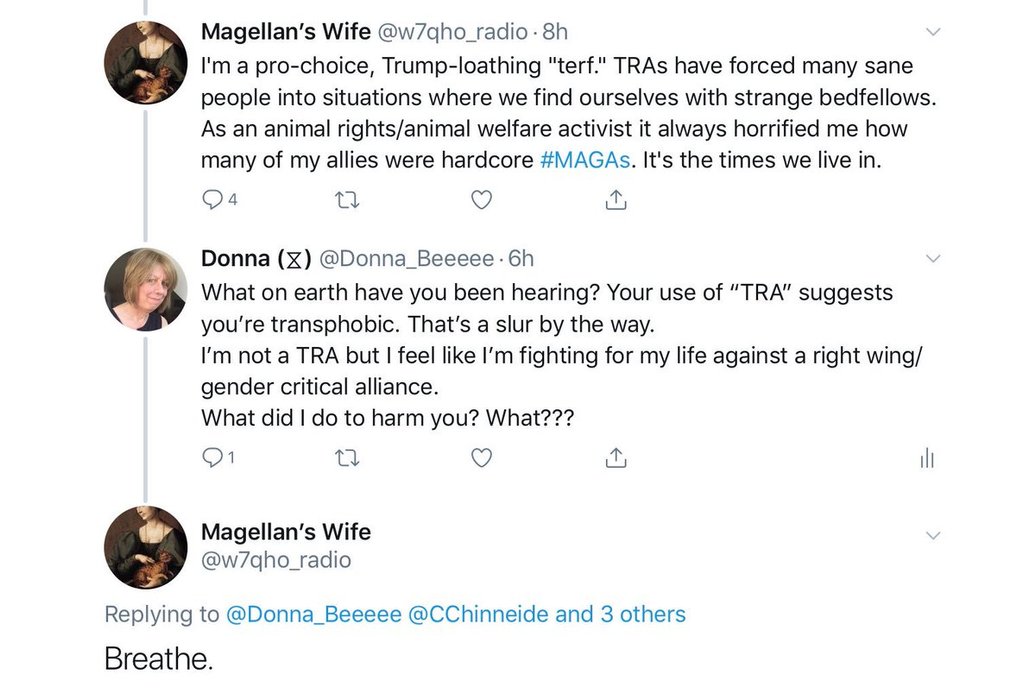 Thumbnail of www-x-com-donna-beeeee-status-1134152763917656064-629bd8dd55264ee8