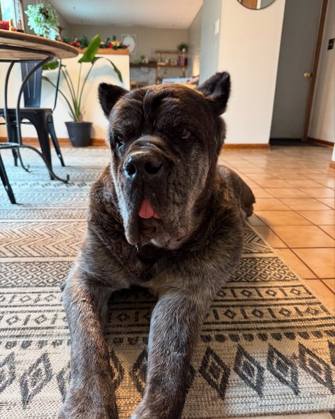 Thumbnail of p-dd5gsgkyzod-62da6773faed463c 3