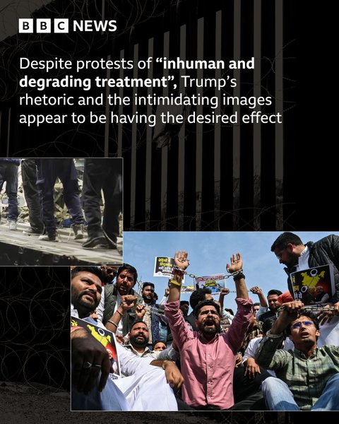 Thumbnail of cit-fp-62fd4b0df2514d6c 2