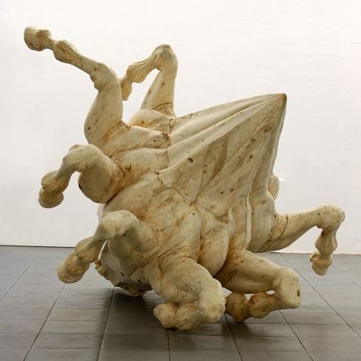 Thumbnail of p-brxerlin0zz-6304dfe8b6904aec 0