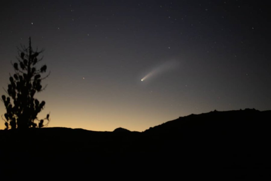 Thumbnail of p-ccwfgs1jvtc-63054c0b6c2144e1 0