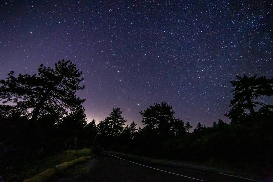 Thumbnail of p-ccwfgs1jvtc-63054c0b6c2144e1 2