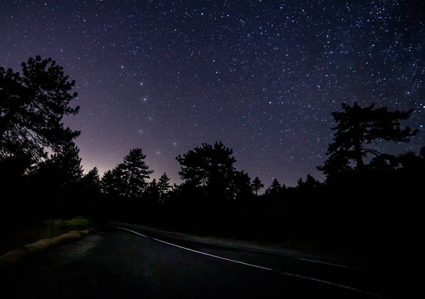 Thumbnail of p-ccwfgs1jvtc-63054c0b6c2144e1 3