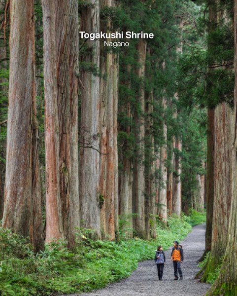 Thumbnail of p-cznuugkseld-6316d81d8cc34dfc 3