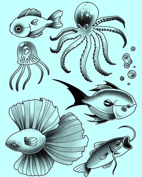 Thumbnail of p-c6xegkjvzsc-636b0eeea41e4411 0