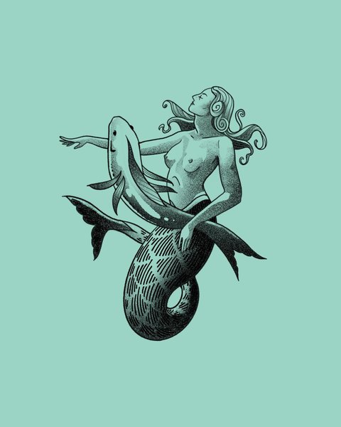 Thumbnail of p-c6xegkjvzsc-636b0eeea41e4411 1