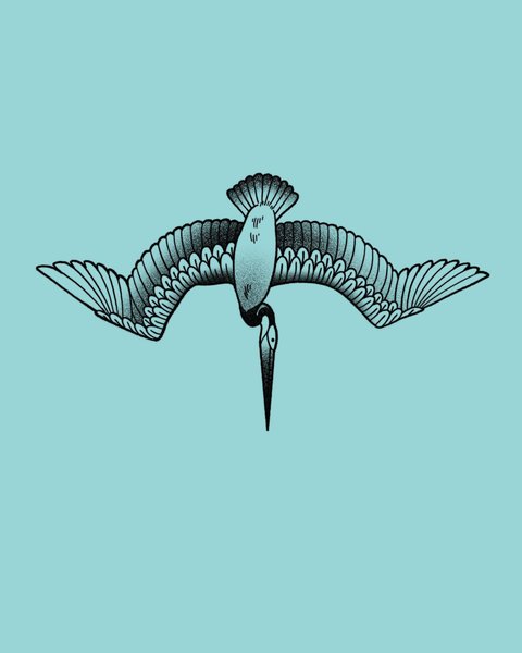 Thumbnail of p-c6xegkjvzsc-636b0eeea41e4411 3