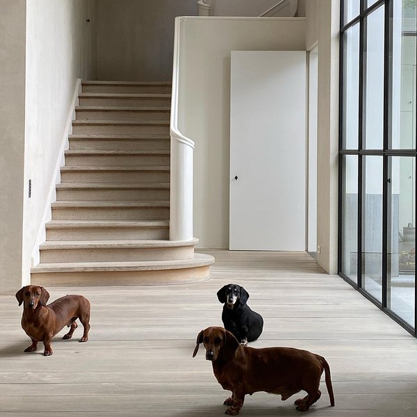 Thumbnail of p-cbnbskhg8bp-636e7585d7aa4773 0