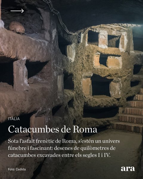 Thumbnail of dk-bdgysuhd-6393d68d6bae4f22 1