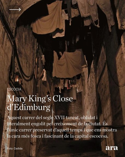 Thumbnail of dk-bdgysuhd-6393d68d6bae4f22 3