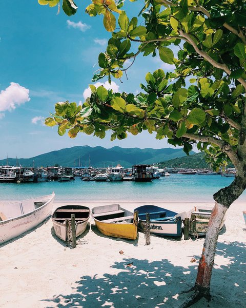 Thumbnail of p-ca3uesnpde8-63a46e0b8d124bf4 0