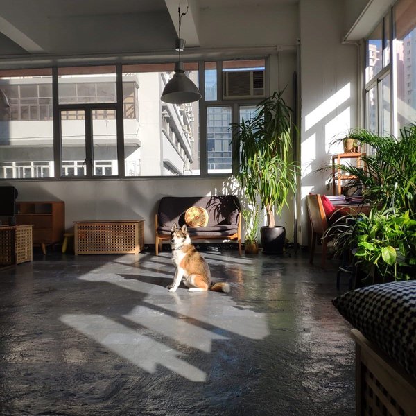 Thumbnail of p-b5bjmfidhkj-63aae46579544ac7 0