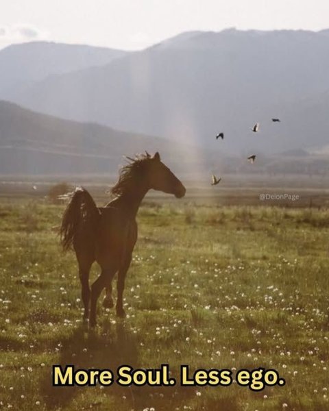 Thumbnail of p-dqxcebqdxmo-63b7297106fa499c 4