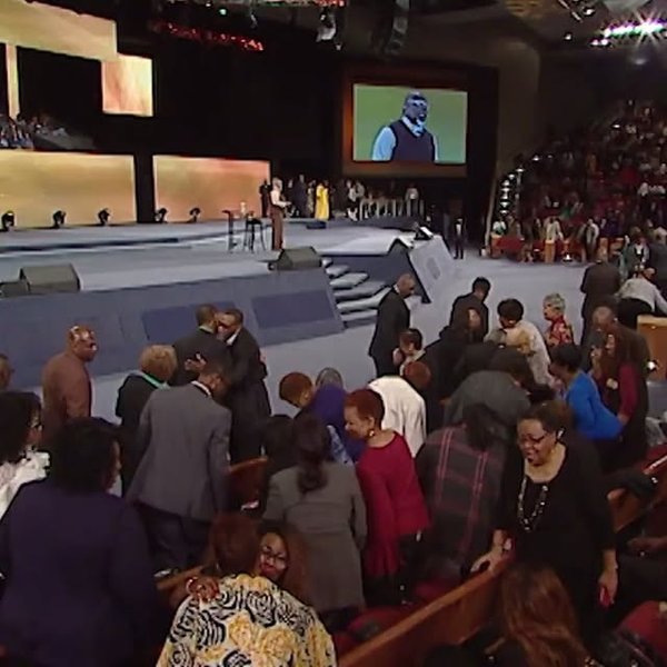 Thumbnail of p-bo5wrgvncgc-63e007e6023c4fa9 0