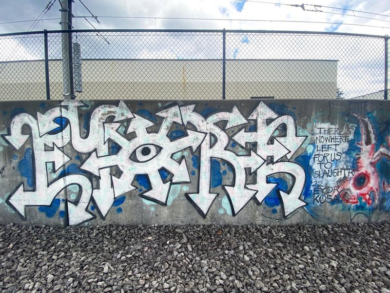 Thumbnail of c804-q0tcpm-63f705f8485e4f65 6