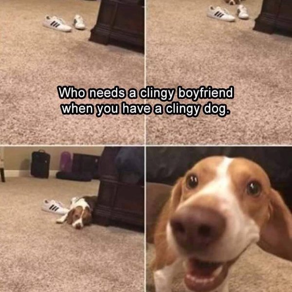 Thumbnail of bai-8oehrnt-6402633ab9fe49c0 0