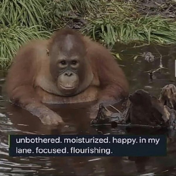 Thumbnail of p-cusnli5fj5d-643d01ea6dde4b64 0