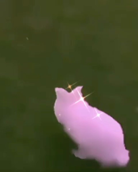 Thumbnail of p-ded9wbhvye-64738db6fbea4756 1