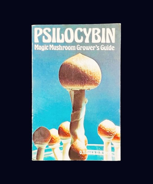 Thumbnail of p-dqanwpsekd2-64ae9c1d50a0488b 0