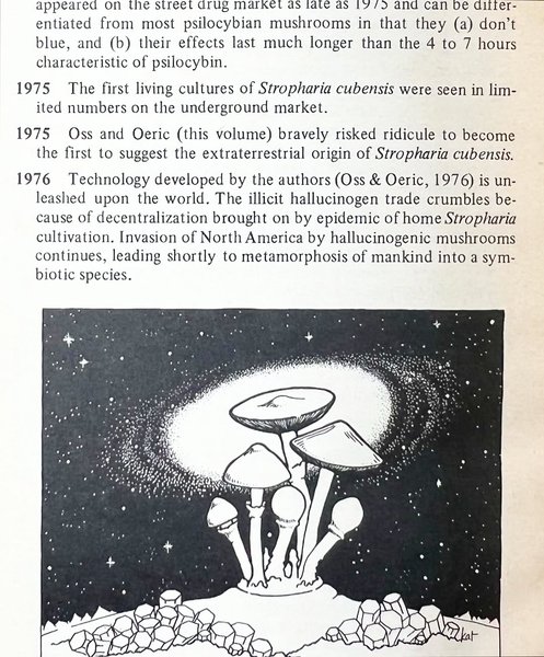 Thumbnail of p-dqanwpsekd2-64ae9c1d50a0488b 7