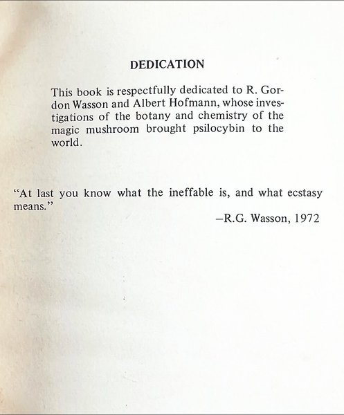 Thumbnail of p-dqanwpsekd2-64ae9c1d50a0488b 9