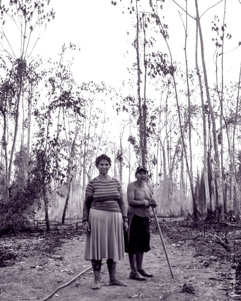 Thumbnail of p-cuq3rsrlbzw-64bb45287a9c4856 8