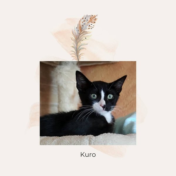 Thumbnail of p-crpti28dsu3-64d747c2a28b418b 0