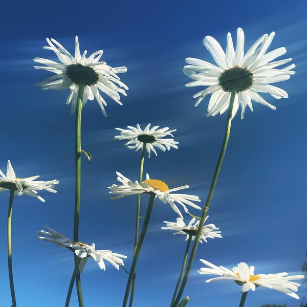 Thumbnail of p-cp0eppdfgdu-653b5fd244684f9d 0