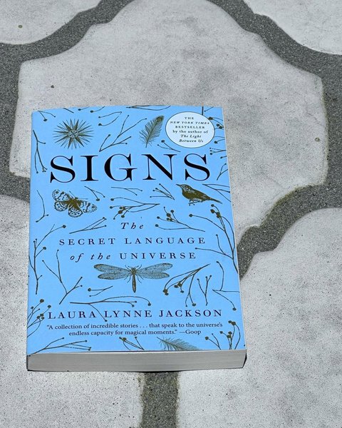 Thumbnail of instagram-655ec6af9bd34ffd 6