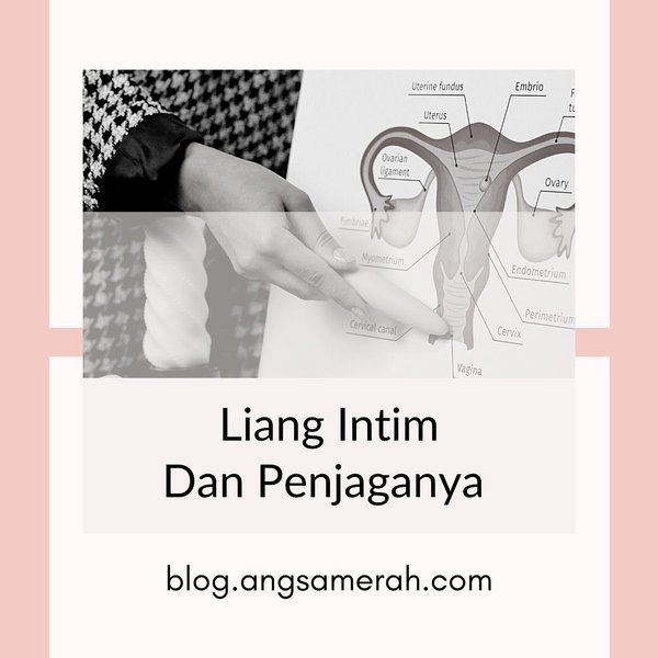 Thumbnail of p-coecrqng3ju-65877ee5681c4e21 0