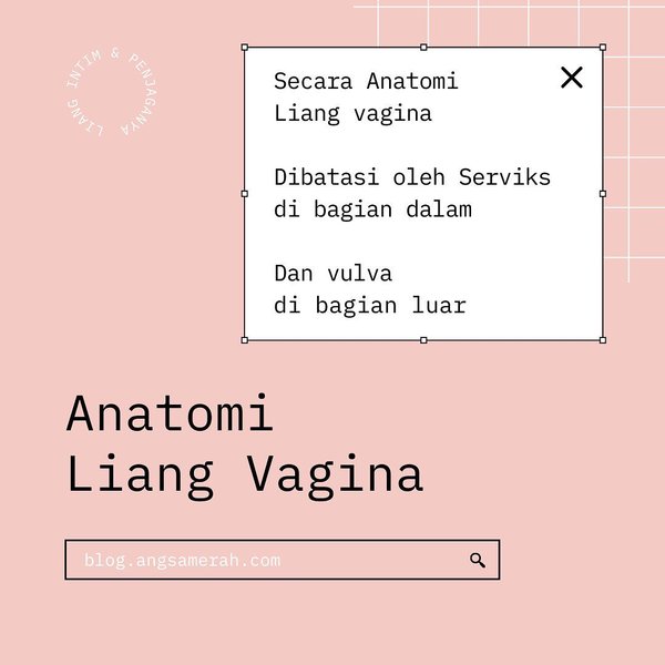 Thumbnail of p-coecrqng3ju-65877ee5681c4e21 1