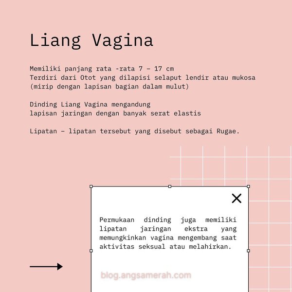 Thumbnail of p-coecrqng3ju-65877ee5681c4e21 2