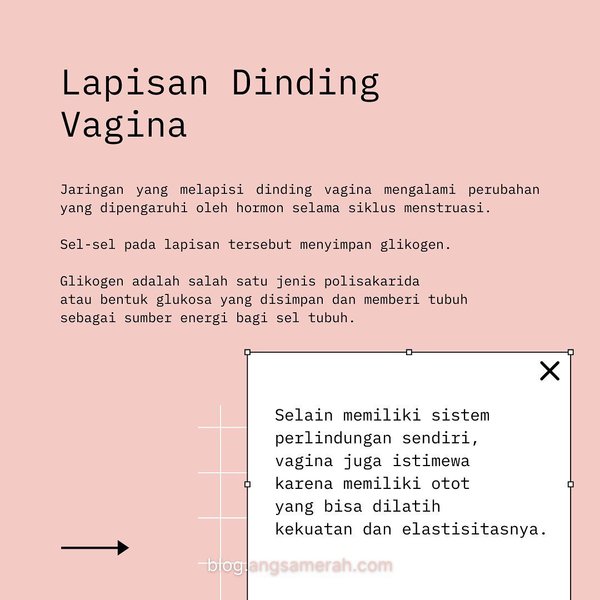 Thumbnail of p-coecrqng3ju-65877ee5681c4e21 3