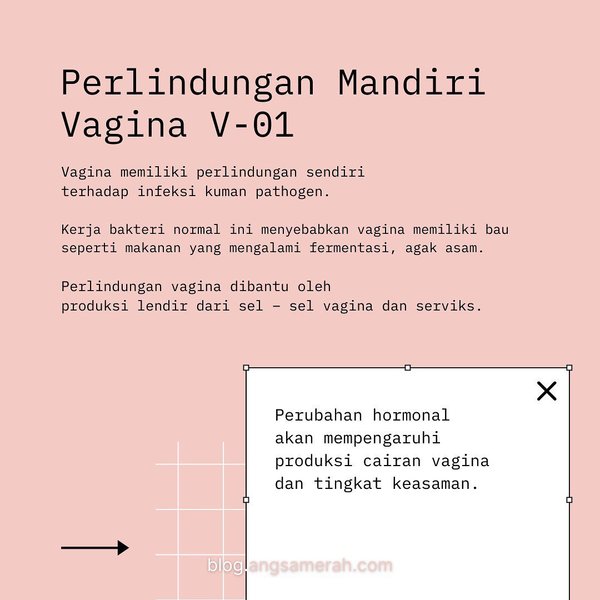 Thumbnail of p-coecrqng3ju-65877ee5681c4e21 4