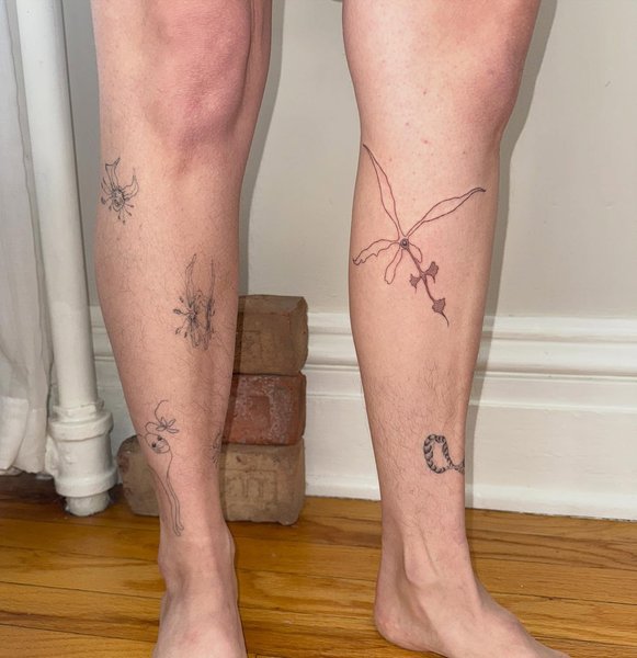 Thumbnail of p-dpueifpjtut-65929695baf54aba 0