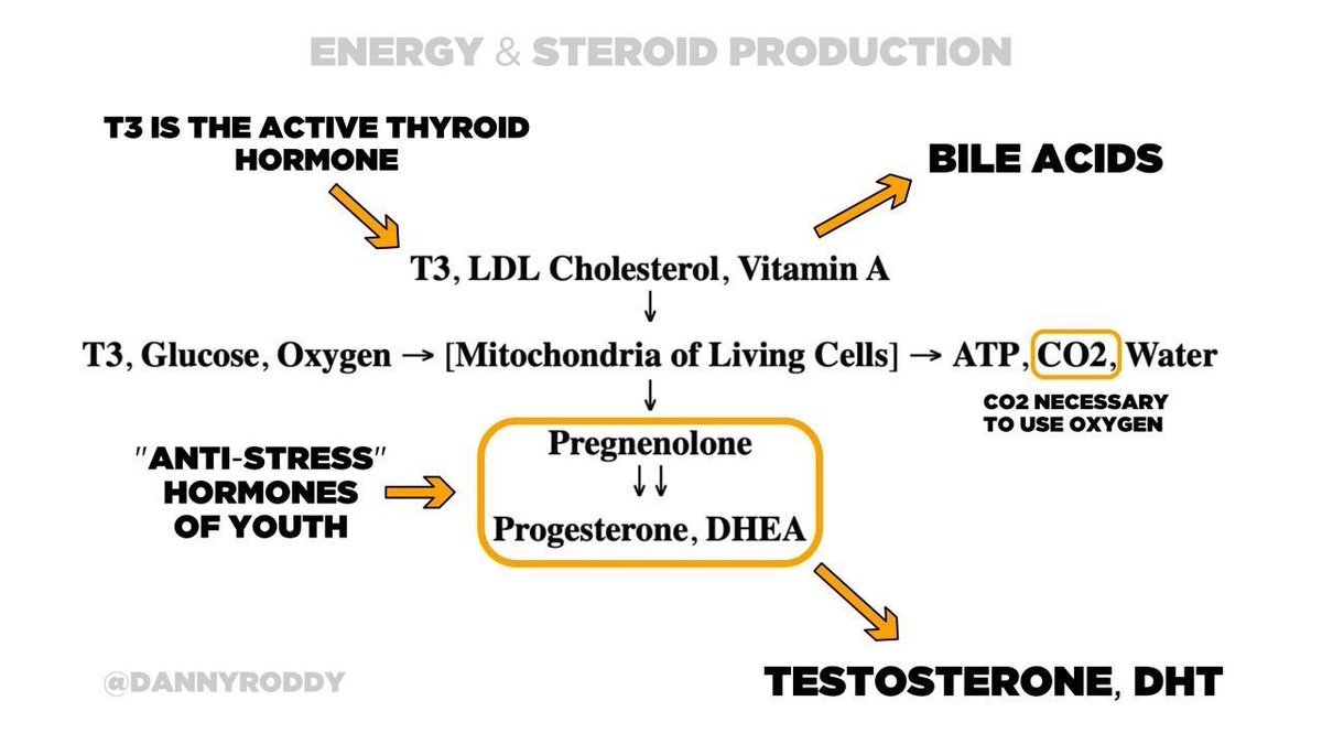 Thumbnail of www-x-com-metabolicwave-status-1931556436305416286-65a144205a654fb1
