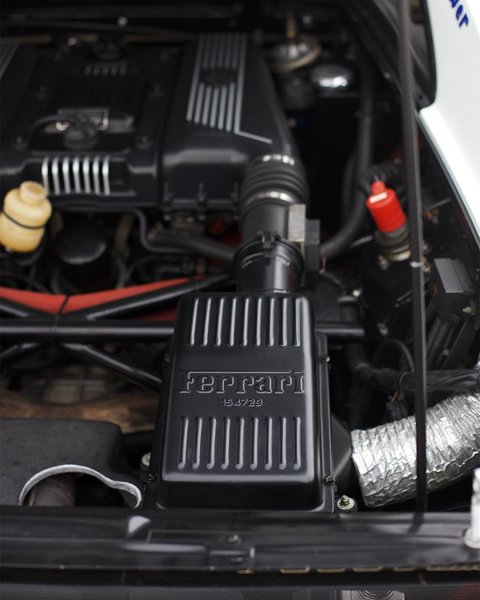 Thumbnail of p-cpkgwgrigow-65e243ecc3ba4c60 5