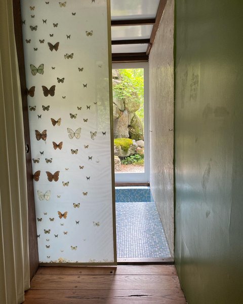 Thumbnail of p-djfbmvsp7fq-65f34fa00b434479 3