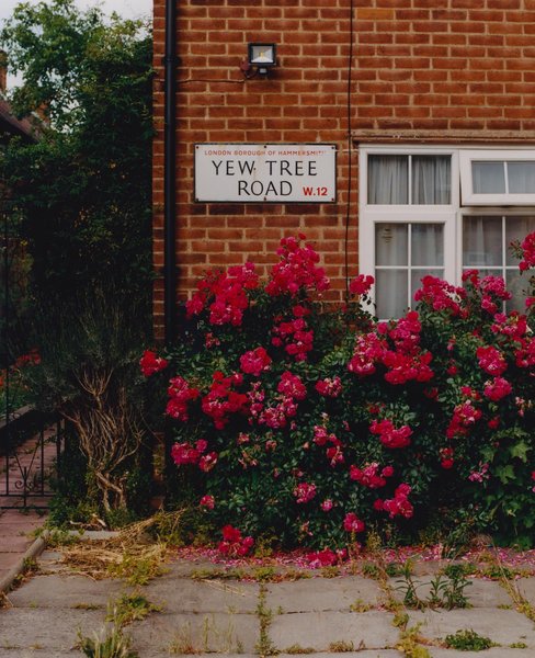 Thumbnail of ccls59sp-ym-663072e6a90e43e5 0