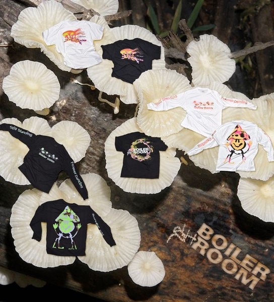 Thumbnail of p-cg76fipbki8-667c3bf7bb4c40d1 0