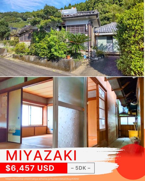 Thumbnail of p-dq9nzyvjr5u-66bbee3d700f4e45 1