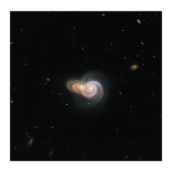 Thumbnail of p-cucgehal21-66bdec1080d549f4 4