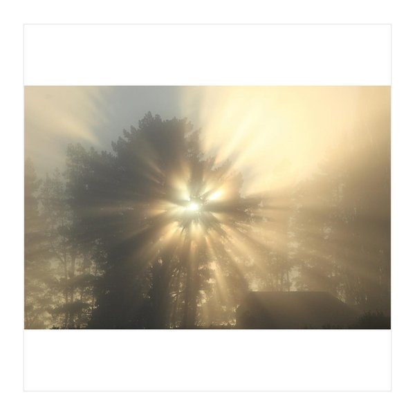 Thumbnail of p-cucgehal21-66bdec1080d549f4 6