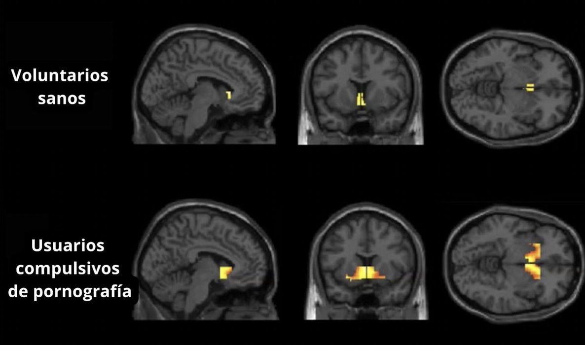 Thumbnail of www-x-com-mente-estoico-status-1877401286326235479-66e1e7091eba446c