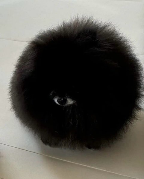 Thumbnail of p-dnbwuhwybbx-67017711f4ff4557 0