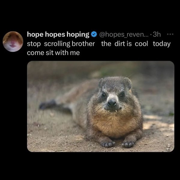 Thumbnail of dchzpi-sabs-67473fe013b34445 6