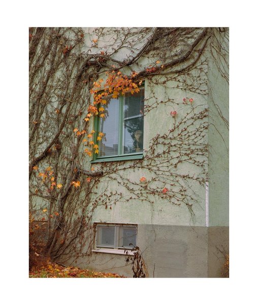 Thumbnail of p-bqaptwkadki-677394436fac466f 0