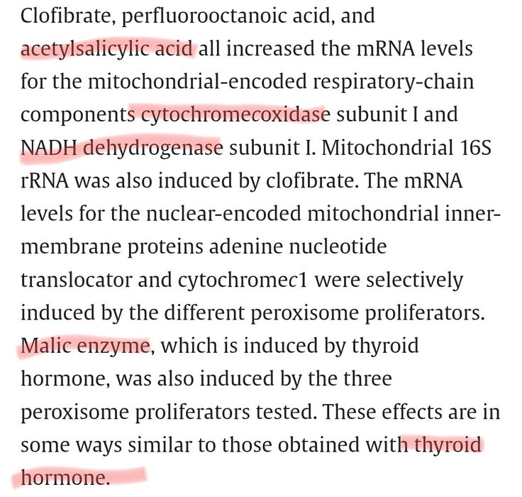 Thumbnail of www-x-com-el7-77-status-1954210719177511014-677de137b4914e9a