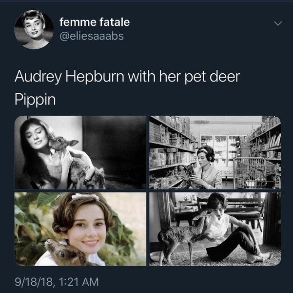Thumbnail of p-bpxfsfbabp9-677ffd205a724623 0